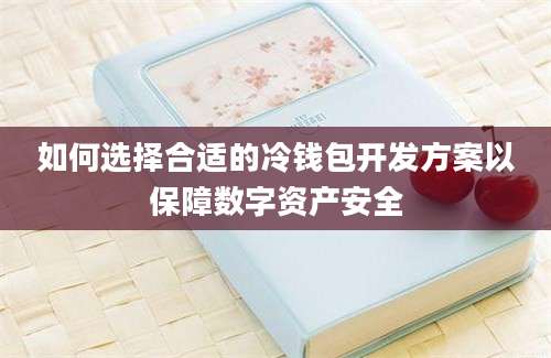 如何选择合适的冷钱包开发方案以保障数字资产安全